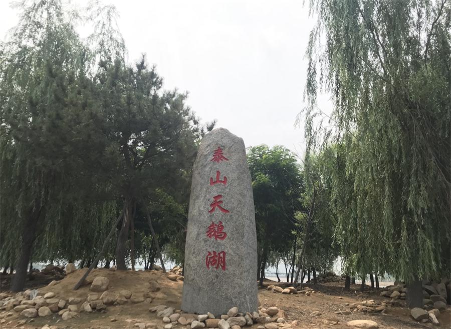 天鵝湖風(fēng)景區(qū)（泰山）速覽！(圖12)