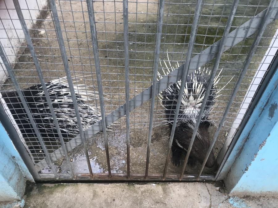 天鵝湖風(fēng)景區(qū)（泰山）速覽！(圖10)