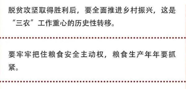 2020年中央農(nóng)村工作會議精神速覽！(圖2)