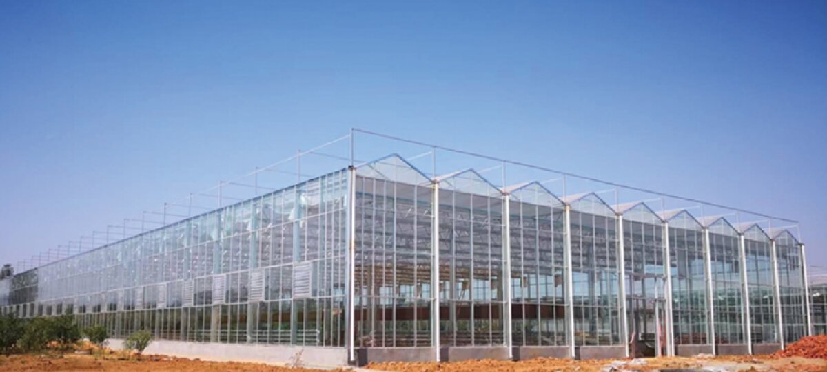 信橋鋼構：打卡蒙陰農(nóng)業(yè)溫室大棚、青州黑牛養(yǎng)殖基地！(圖2)